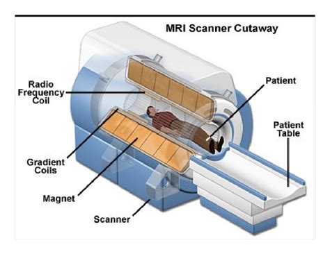 Structure Of Mri Magnetic Resonance Tomography Scan Device D Model