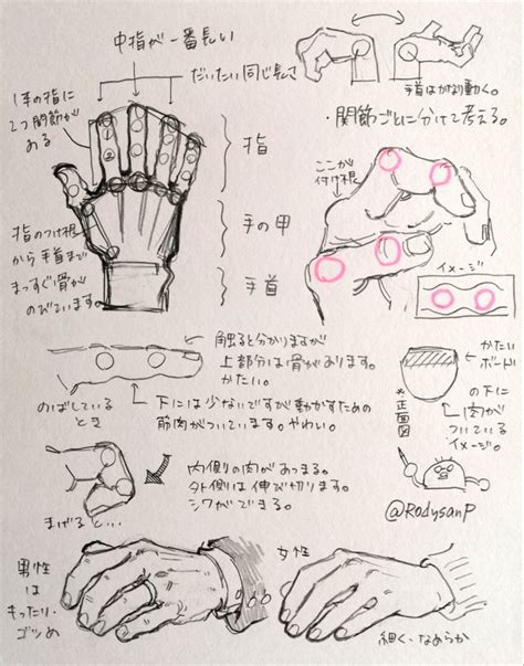 Pin By Neko Suzuki On Body Anatomy In 2024 Hand Drawing Reference