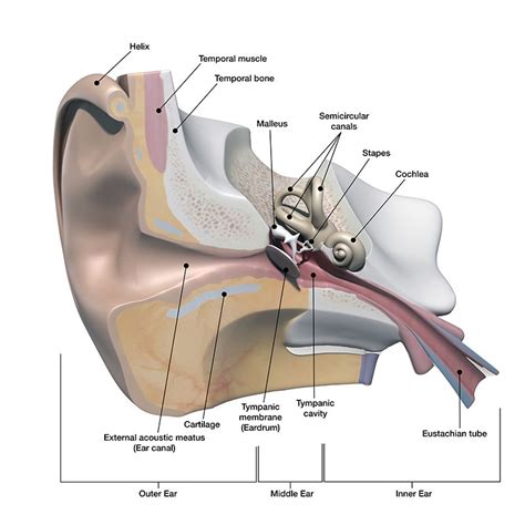 Hearing Overview - Watauga Hearing