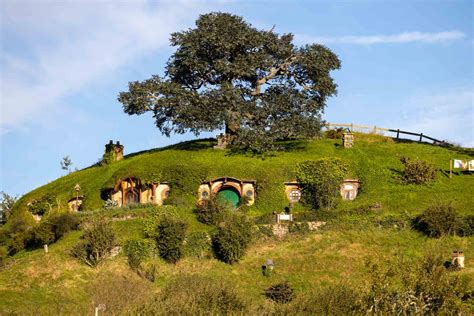 10 BEST Tours From Auckland To Hobbiton In 2024