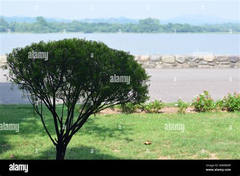 Beautiful Lake At Chandigarh India Stock Photo Alamy