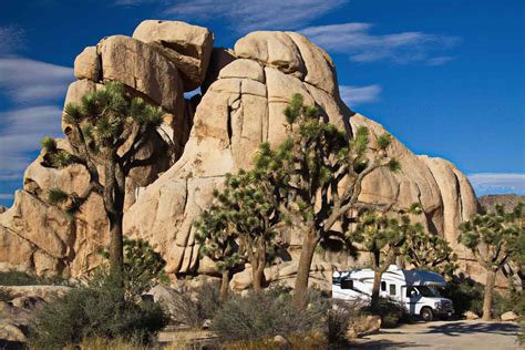 Where to Go RV Camping in Joshua Tree National Park