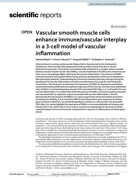 PDF Vascular Smooth Muscle Cells Enhance Immune Vascular Interplay In