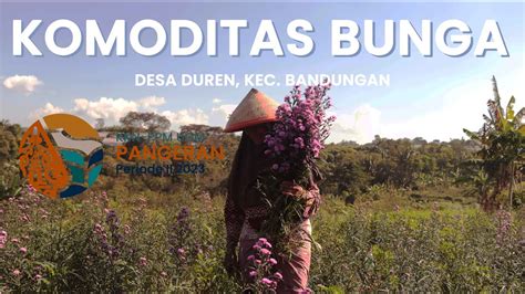 VIDEO PROFIL KOMODITAS BUNGA DESA DUREN TIM KKN PPM UGM PANGERAN