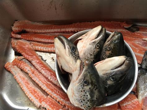 Salmonscraps • Edel Alon