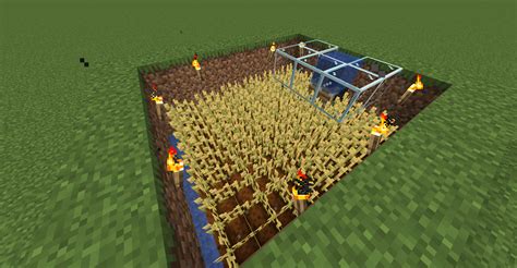 How To Make Crops Grow Faster In Minecraft Command Growing Crops