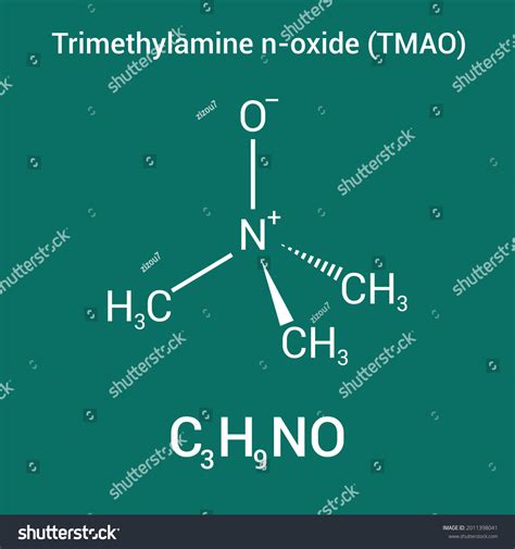 Chemical Structure Trimethylamine Noxide Tmao C3h9no Stock Vector