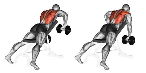 Dumbbell Moves You Have To Try Dumbbell Workout Exercise Gym