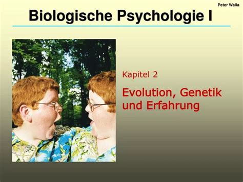 Ppt Kapitel Evolution Genetik Und Erfahrung Powerpoint