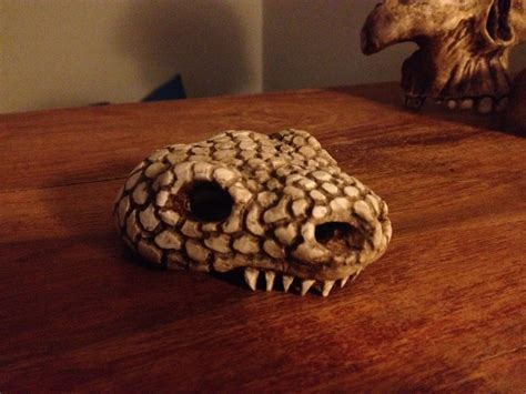 Gila monster skull | RPF Costume and Prop Maker Community