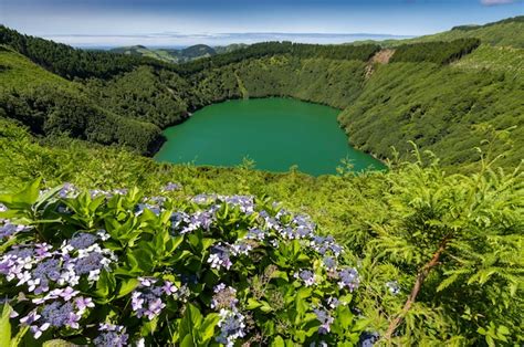 Lagoa de santiago água verde e flores de hortênsia em são miguel