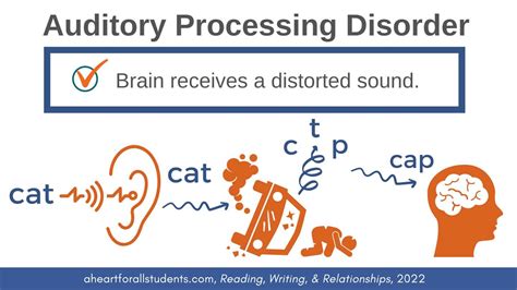 APD Vs ADHD Auditory Processing Or Inattention A Heart For All Students