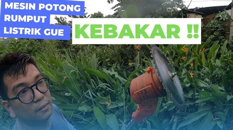 Uji Coba Mesin Potong Rumput Listrik Sampe Kebakar Youtube