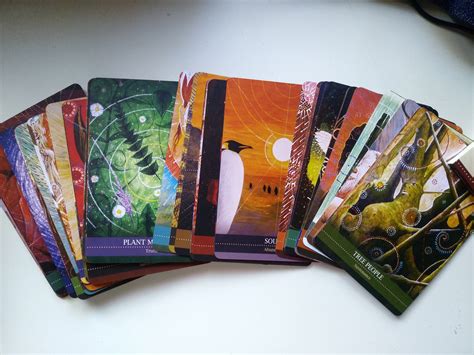 Schamanische Medizin Orakel Karten Set Deck Und Booklet Etsy