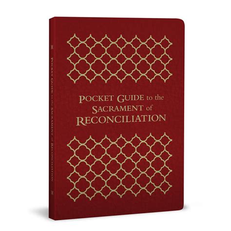 Pocket Guide To The Sacrament Of Reconciliation Leather Bound By Fr Mike Schmitz And Fr Josh