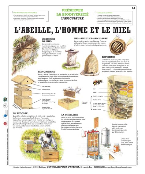 Infographies Sur Les Abeilles Le Miel Et Produits De La Ruche Artofit