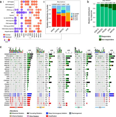 Somatic Mutations And Copy Number Alterations In CPI MIBC PURE 01