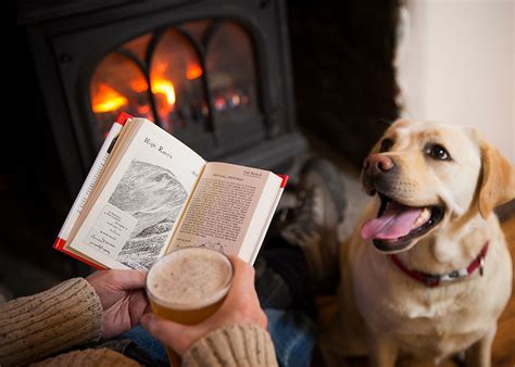 Dog Friendly Hotel in the Lakes - Lodore Falls Hotel