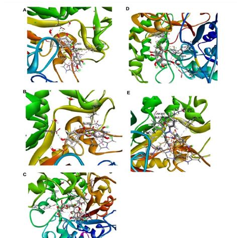 Best Ranked Pose Of Quercetin A Kaempferol B Kaempferol