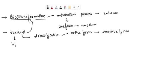 SOLVED: 19) What type of biotransformation reactions are phase ...