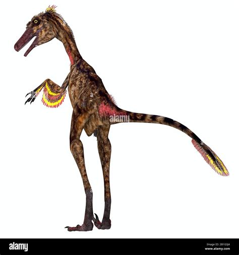 Troodon Fue Un Dinosaurio Terópodo Carnívoro Que Vivió En América Del Norte Durante El Período