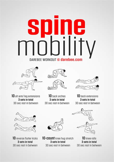 Spine Mobility Workout