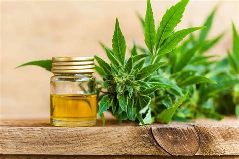 Les Bienfaits Et Avantages De Lhuile De Cbd