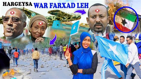 FARXAD Kacdoonka Hargeysa Oo Xoogeystay Calanka Somalia Ayey Qaateen