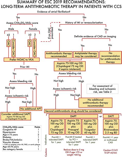 Antithrombotic Therapy For Patients With Chronic Coronary Syndromes Heart