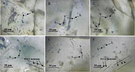 Photomicrographs Of Fluid Inclusion Assemblages Fis Of The Three