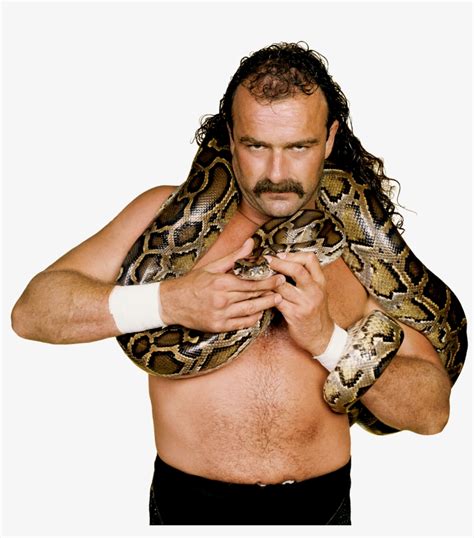 Jake The Snake Roberts Pro Jake The Snake Png Free Transparent Png