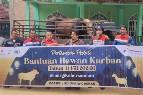 Berbagi Di Hari Raya Iduladha Pertamina Salurkan Hewan Kurban