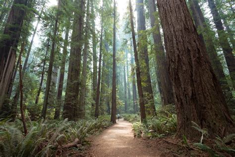 Photography Tour Around The Redwoods And Oregon Coast