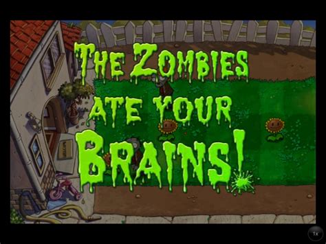 Zombies Ate Your Brains Plants Vs Zombies Zombies Ate Yo Flickr