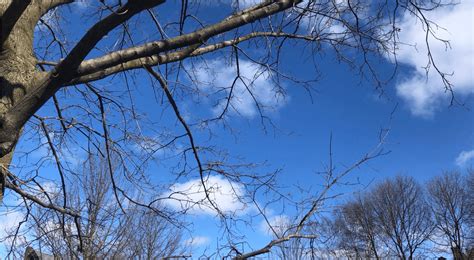 Tompkins Cortland Community College Students Honored with SUNY