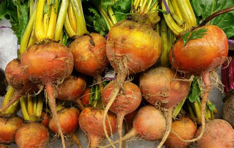 How To Grow Beets