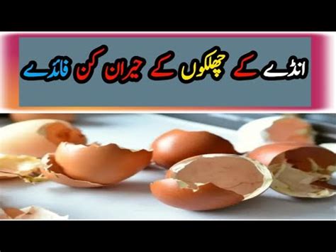 Benefits Of Egg Shells Do You Throw Away Egg Shells Too How Long To