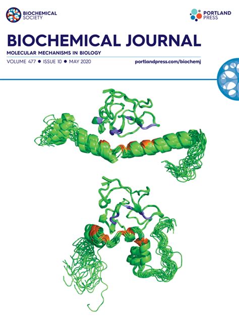 Genome Wide Identification And Biochemical Characterization Of