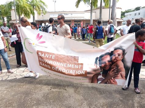 En images la manifestation contre le chlordécone à Fort de France