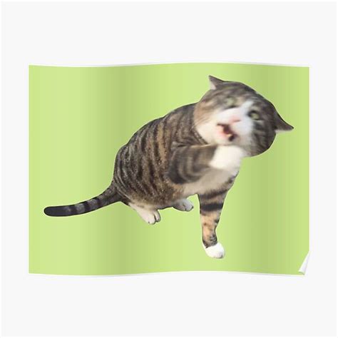 "Shocked Cat Meme" Poster for Sale by tttatia | Redbubble