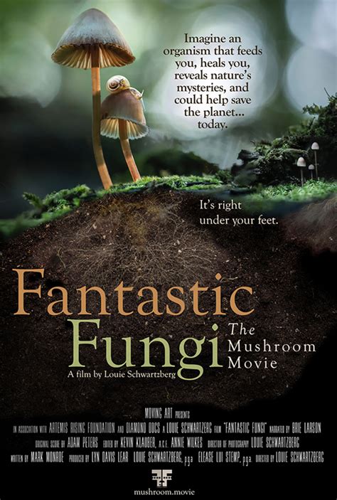 Fantastic Fungi Documentary Makes Mushroom Magic The Martha S