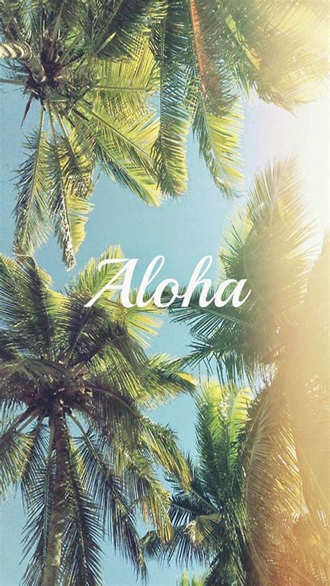 Cool Summer Hawaiian Background HD Phone Wallpaper Pxfuel