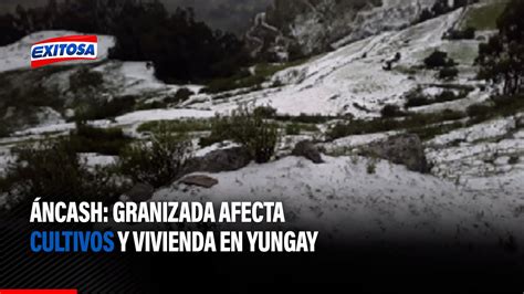 Áncash Granizada afecta cultivos y vivienda en Yungay YouTube