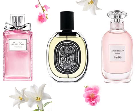 Perfumes Florais Para Arrasar Na Primavera Fabio Navarro