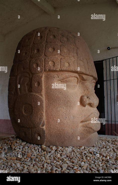 Basalt Sculpture Head Number 10 Museum At San Lorenzo Veracruz