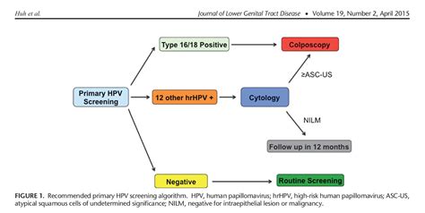 Acog Pap Guidelines 2019 Algorithm Carfareme 2019 2020