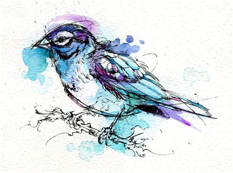 Illustrator Named Abby Diamond Does Beautiful Ink And Watercolor Birds