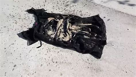 Trample Crush Soil On Purple Tartan Skirt Gay Porn 48 XHamster