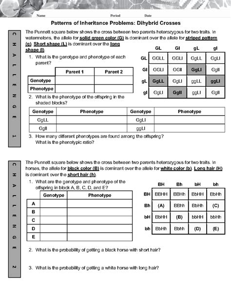 Dihybrid Cross Problems - Patterns of Inheritance Problems: Dihybrid ...