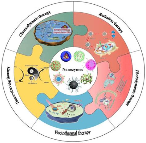 多功能纳米酶在肿瘤治疗中的应用acs Omega X Mol